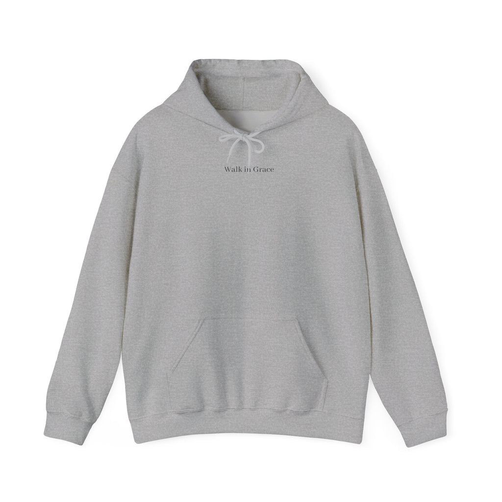 Hoodie - john 3:16